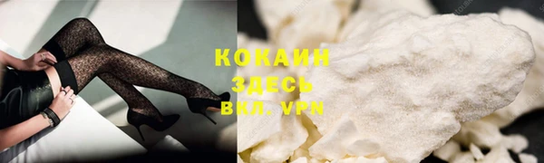 спиды Тавда
