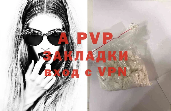спиды Тавда