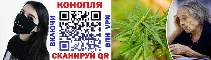 мега ССЫЛКА  Калининец  Бошки марихуана сатива  цены наркотик 